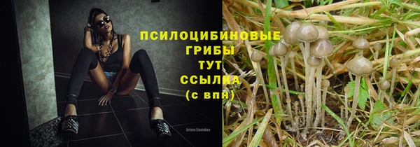 прущая мука Наволоки