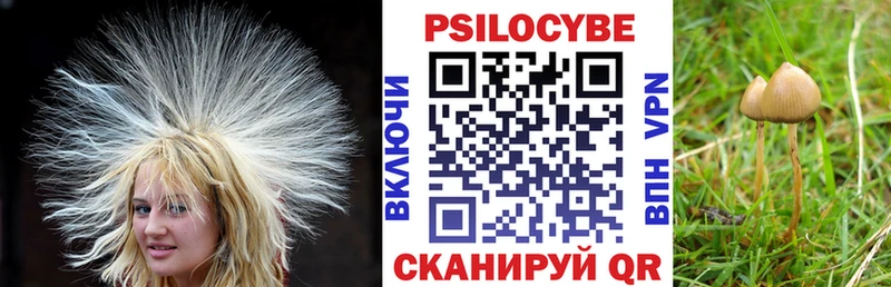 ОМГ ОМГ онион  где купить наркоту  Энем  Галлюциногенные грибы прущие грибы 